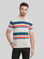 Multi Color Striped Polo Neck T-Shirt
